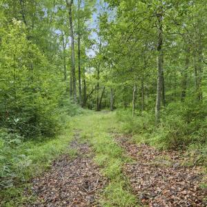 Photo #12 of 857 Mill River, Jacksonville, NC 11.1 acres