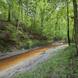 Photo #19 of 857 Mill River, Jacksonville, NC 11.1 acres
