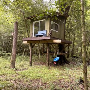 Photo #5 of 857 Mill River, Jacksonville, NC 11.1 acres