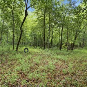 Photo #15 of 857 Mill River, Jacksonville, NC 11.1 acres