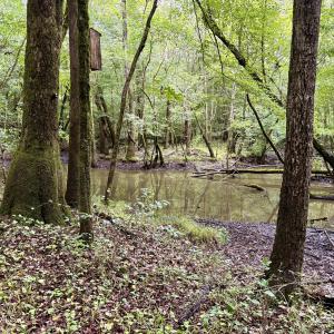 Photo #3 of 857 Mill River, Jacksonville, NC 11.1 acres