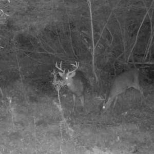 Photo #7 of 857 Mill River, Jacksonville, NC 11.1 acres