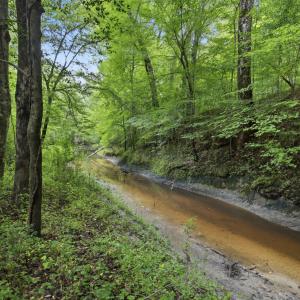 Photo #2 of 857 Mill River, Jacksonville, NC 11.1 acres