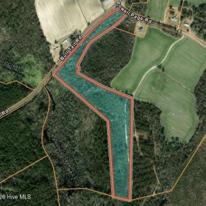 Photo #1 of 777 Bull Tail, Wallace, NC 20.0 acres