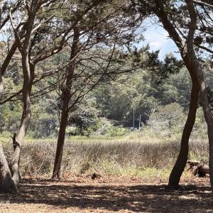 Photo #2 of Lots 9-11 Pelican, Oak Island, NC 0.8 acres