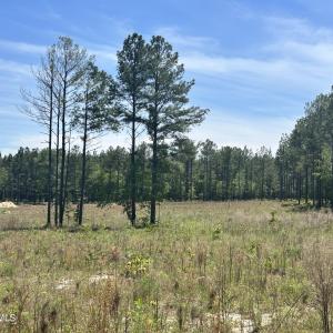 Photo #3 of 461 Lally, Aberdeen, NC 5.2 acres