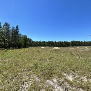 Photo #2 of 461 Lally, Aberdeen, NC 5.2 acres