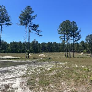 Photo #1 of 461 Lally, Aberdeen, NC 5.2 acres