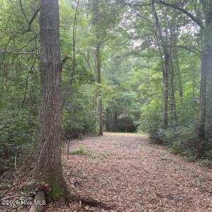 Photo #2 of 45.22 Ac Atlantic Breeze, North Myrtle Beach, SC 45.2 acres