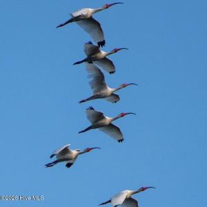 Photo #4 of 28.53 Ac Old Sanders, North Myrtle Beach, SC 28.5 acres