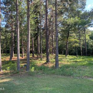 Photo #3 of 231 Meyer Farm, Pinehurst, NC 4.2 acres