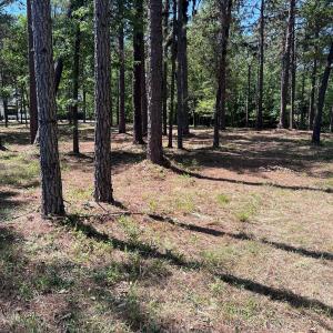 Photo #7 of 231 Meyer Farm, Pinehurst, NC 4.2 acres