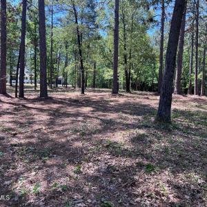 Photo #6 of 231 Meyer Farm, Pinehurst, NC 4.2 acres