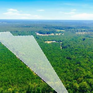 Photo #17 of 422 Benton, Bolivia, NC 18.4 acres
