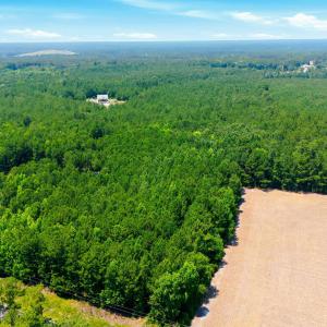 Photo #6 of 422 Benton, Bolivia, NC 18.4 acres