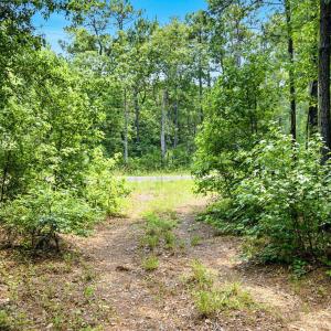 Photo #4 of 422 Benton, Bolivia, NC 18.4 acres