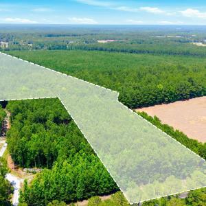 Photo #11 of 422 Benton, Bolivia, NC 18.4 acres
