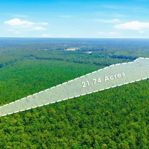 Photo #13 of 422 Benton, Bolivia, NC 18.4 acres