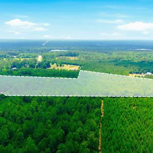 Photo #23 of 422 Benton, Bolivia, NC 18.4 acres