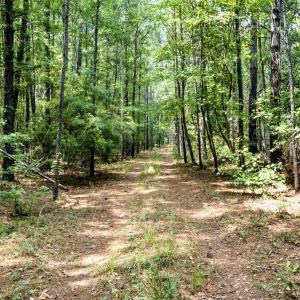 Photo #5 of 422 Benton, Bolivia, NC 18.4 acres