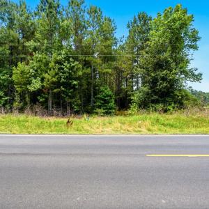 Photo #1 of 422 Benton, Bolivia, NC 18.4 acres