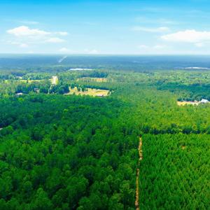 Photo #22 of 422 Benton, Bolivia, NC 18.4 acres