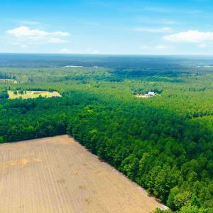 Photo #20 of 422 Benton, Bolivia, NC 18.4 acres