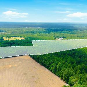 Photo #21 of 422 Benton, Bolivia, NC 18.4 acres
