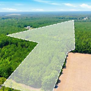 Photo #7 of 422 Benton, Bolivia, NC 18.4 acres