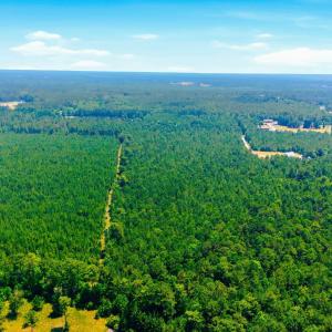 Photo #14 of 422 Benton, Bolivia, NC 18.4 acres
