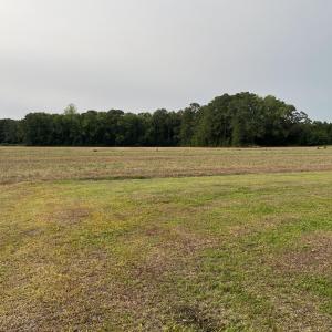 Photo #8 of 3091 Hudsons Crossroads, Greenville, NC 99.5 acres