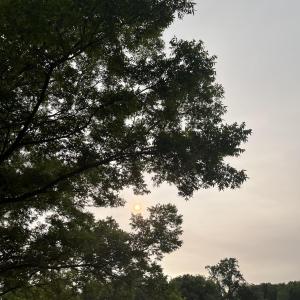 Photo #11 of 3091 Hudsons Crossroads, Greenville, NC 99.5 acres
