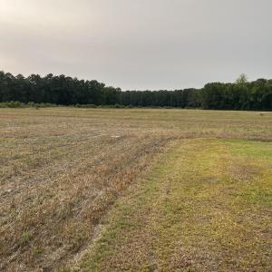 Photo #7 of 3091 Hudsons Crossroads, Greenville, NC 99.5 acres
