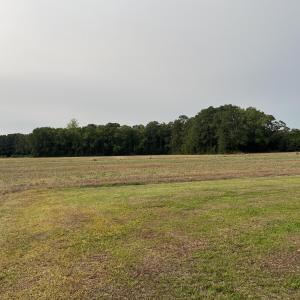 Photo #9 of 3091 Hudsons Crossroads, Greenville, NC 99.5 acres