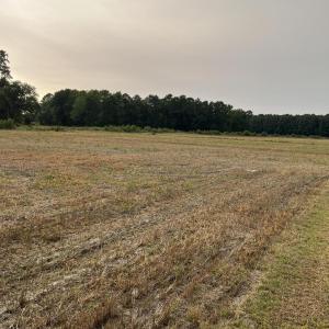 Photo #6 of 3091 Hudsons Crossroads, Greenville, NC 99.5 acres