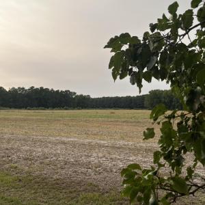 Photo #14 of 3091 Hudsons Crossroads, Greenville, NC 99.5 acres