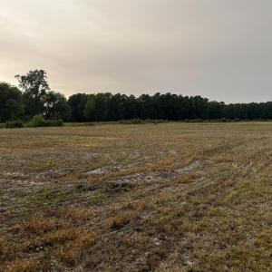 Photo #10 of 3091 Hudsons Crossroads, Greenville, NC 99.5 acres