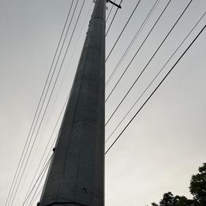 Photo #15 of 3091 Hudsons Crossroads, Greenville, NC 99.5 acres