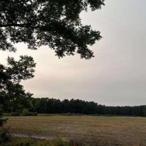 Photo #13 of 3091 Hudsons Crossroads, Greenville, NC 99.5 acres