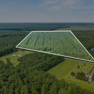 Photo #2 of Indian Hill, Willard, NC 75.7 acres
