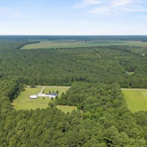 Photo #11 of Indian Hill, Willard, NC 75.7 acres