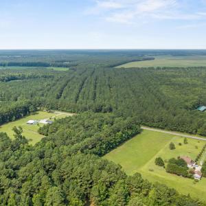 Photo #1 of Indian Hill, Willard, NC 75.7 acres