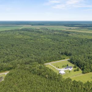 Photo #10 of Indian Hill, Willard, NC 75.7 acres