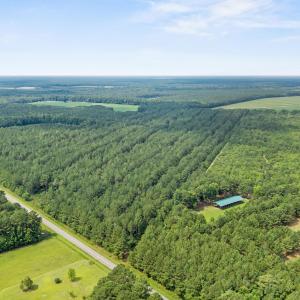 Photo #7 of Indian Hill, Willard, NC 75.7 acres