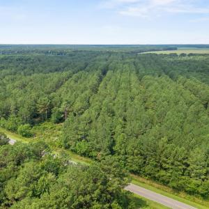 Photo #8 of Indian Hill, Willard, NC 75.7 acres