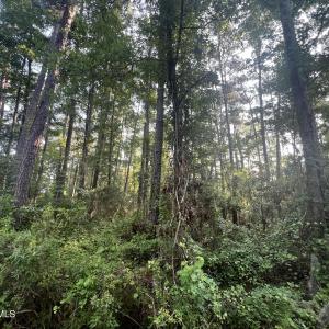 Photo #14 of Lot 2 & 3 Strawhorn Creek, Aurora, NC 2.4 acres