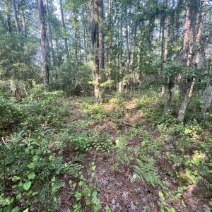 Photo #12 of Lot 2 & 3 Strawhorn Creek, Aurora, NC 2.4 acres