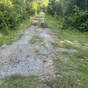 Photo #11 of Lot 2 & 3 Strawhorn Creek, Aurora, NC 2.4 acres