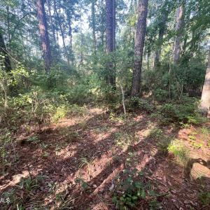 Photo #10 of Lot 2 & 3 Strawhorn Creek, Aurora, NC 2.4 acres