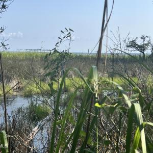 Photo #8 of Lot 2 & 3 Strawhorn Creek, Aurora, NC 2.4 acres